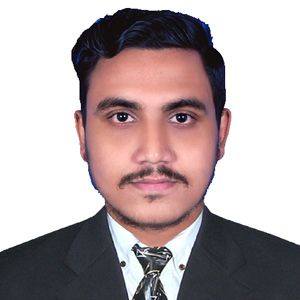 Software Consultant